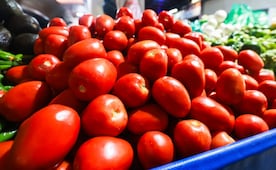 ¿Por qué sigue caro el precio del jitomate en México? 