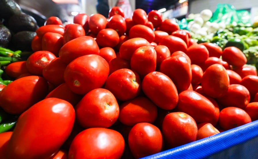 ¿Por qué sigue caro el precio del jitomate en el Estado de México?