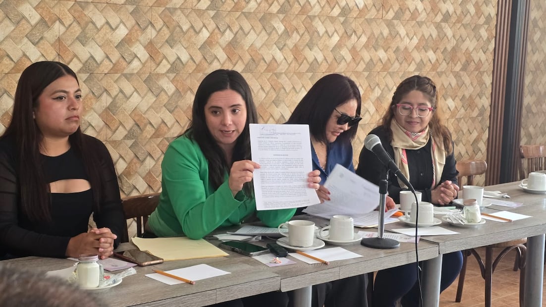 La Fundación Carmen Sánchez MX presentó una iniciativa al Congreso local en noviembre de 2025. Foto. Alma Rodríguez. El Universal