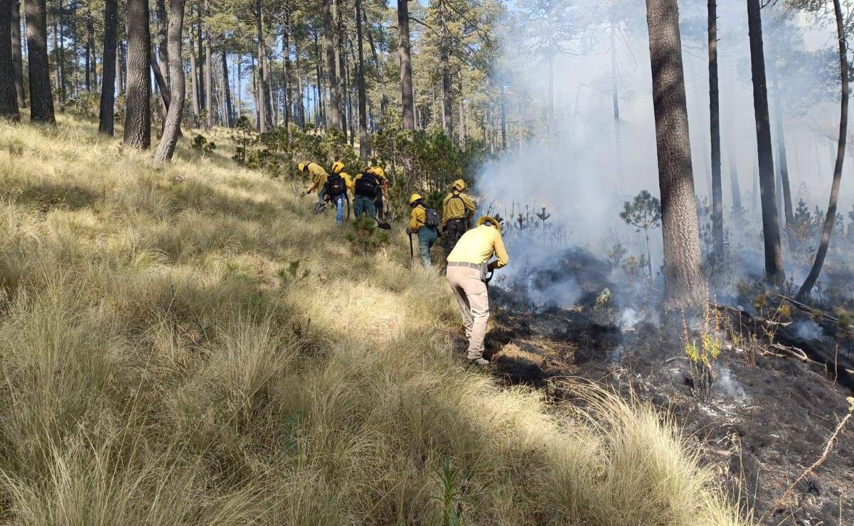 El incendio se registra en el paraje La Mesa, ejido de Zaragoza, municipio de Calimaya / Foto Especial