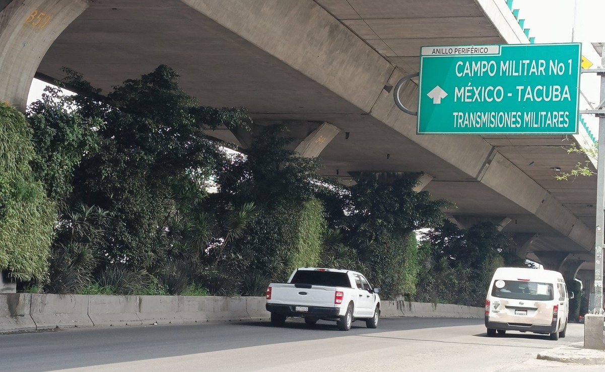 Los vecinos naucalpenses expusieron que las plantas por su tamaño aportan muy poco al medio ambiente. Foto: Arturo Hernández/ El Universal Estado de México
