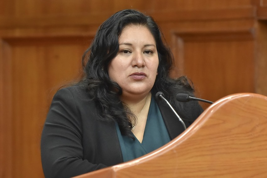 Beatriz García Villegas, vocal ejecutiva de la CAEM / Foto Especial