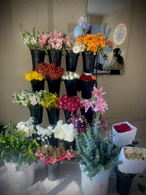 Villa Guerrero y Tenancingo encabezan la producción de rosas; el estado provee el 78.5% del total nacional para esta temporada. Foto Especial